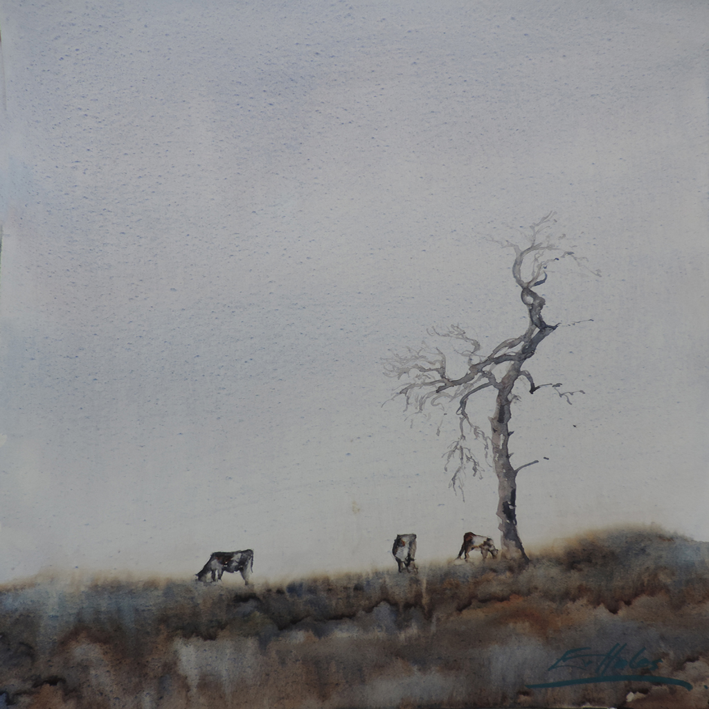 hales_ev_morning_emerges